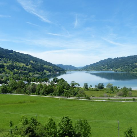 Großer Alpsee Immenstadt  Bildnachweis: Stadt Immenstadt / Alpsee Immenstadt Tourismus GmbH