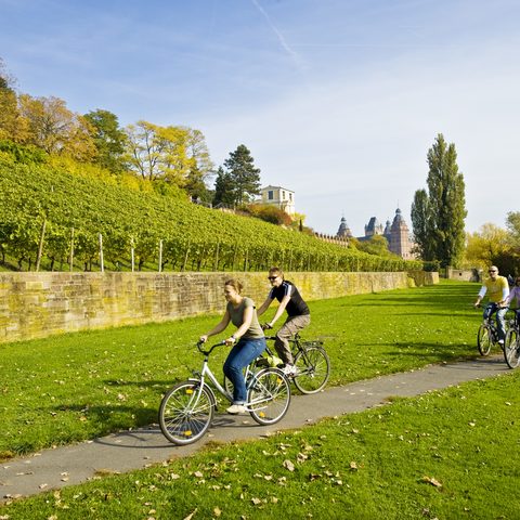Radfahren auf dme MainRadweg in Aschaffenburg - Foto FrankenTourismus; Spessart-Mainland; Hub