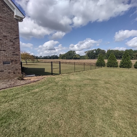 5' Tall Black Chain Link with Walk Gate 
