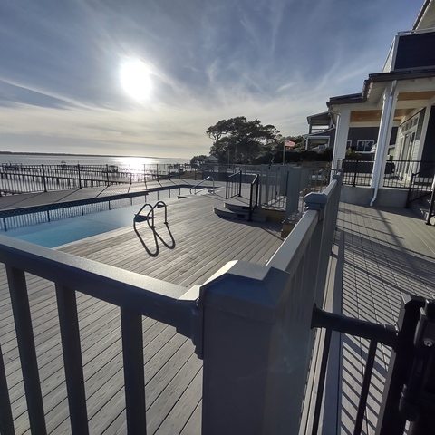 4' Tall Gray Ornamental Alum