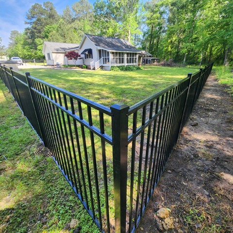 4' Tall Black Ornamental Alum