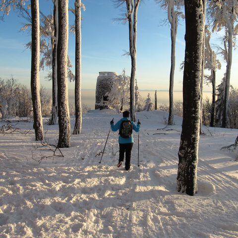 Winterwandern Hirschenstein St. Englma © Tourismusverband Ostbayern e.V.