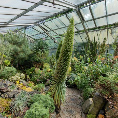 Botanischer Garten Altstadt Erlangen Fotograf: Detlef Danitz
