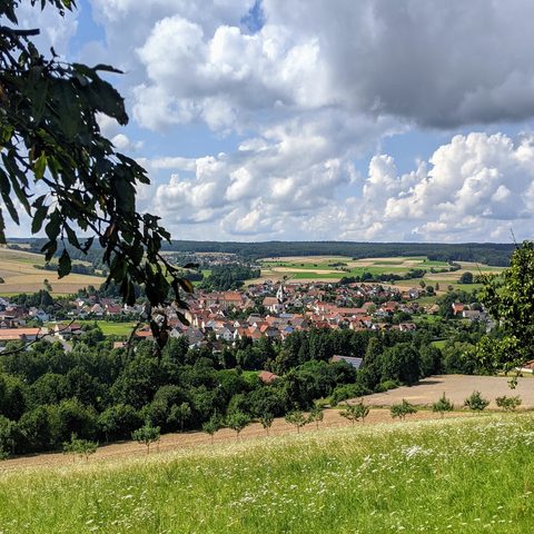 Ausblick Sommer Panoramaweg Thulba
Bildrechte: Jessica Leicher
Quelle: Markt Oberthulba/Frau Wirth