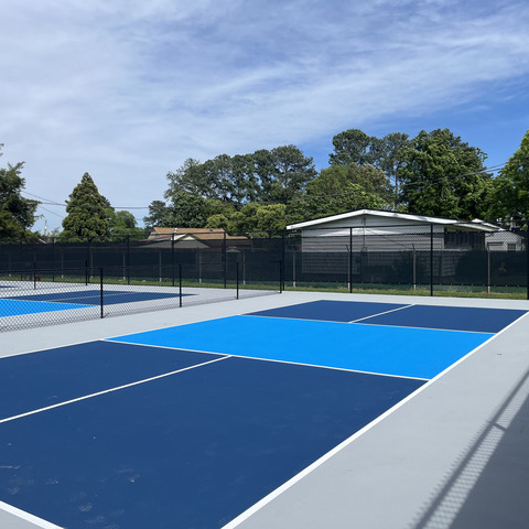 8' Tall Commercial Black Chain Link with Windscreen Benson