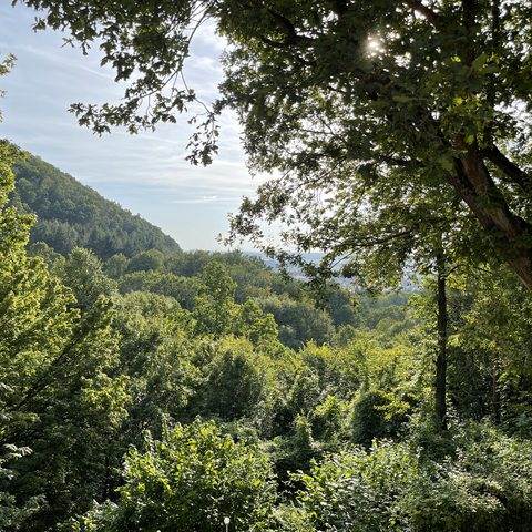 Naturfreundehaus "Warme Sonne"
Quelle: Naturfreundehaus "Warme Sonne"/Sabine Ißle