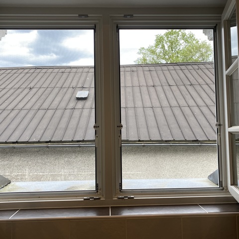 Fenster mit Insektenschutzgitter