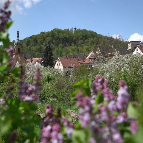 Pegnitz Quelle: Tourist-Information Stadt Pegnitz
