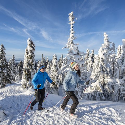 Schneeschuhwandern mit beeindruckenden Fernblicken © Tourismuszentrale Fichtelgebirge e.V. Florian Trykowsk Quelle: piroth.kommunikation GmbH