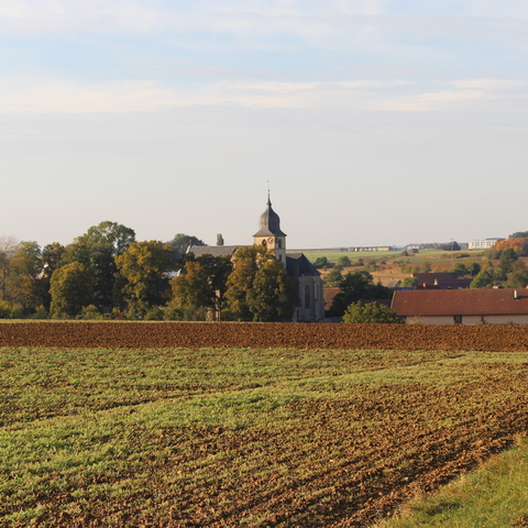 Giebelstadter Kulturweges „Vom Minnesang zum Düsenklang“ © Renate Wohlfeil
