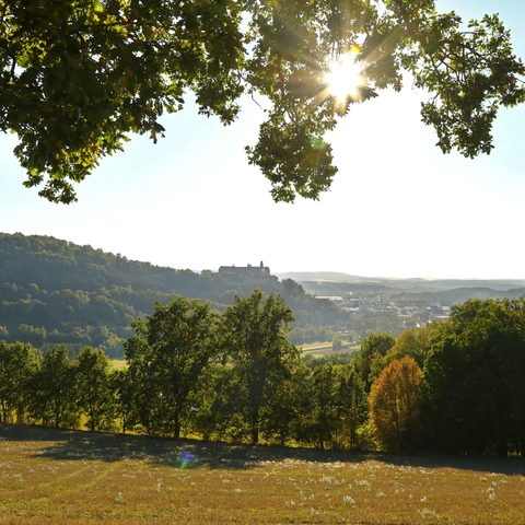 Blick vom Mühlberg auf Kulmbach und die Plassenburg © Tourist Information der Stadt Kulmbach