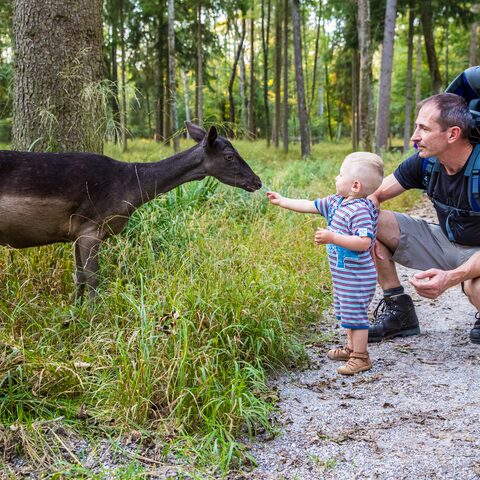 Lechpark © Tourismusverband Ammersee-Lech e.V / Robert Klinger