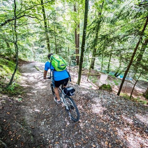 Radeln © Tourismusverband Ammersee-Lech e.V / Robert Klinger
