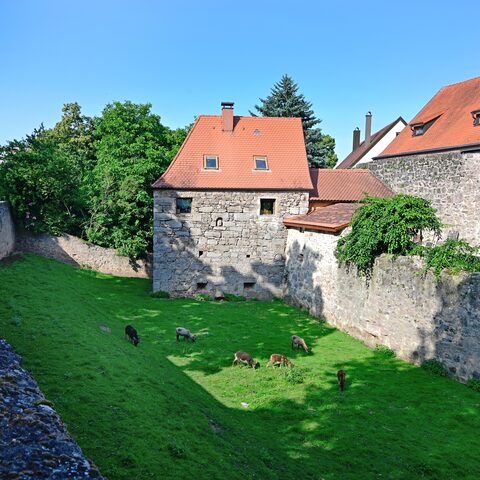Stadtmauer © Jim Albright / Stadt Ornbau