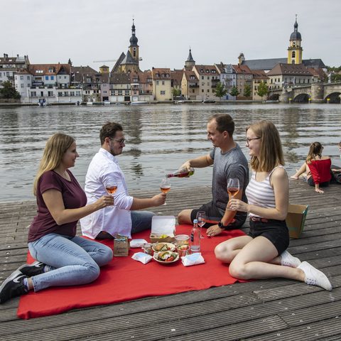 Picknick am Main © Fränkisches Weinland Tourismus GmbH/Holger Leue