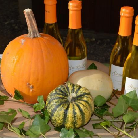 „Kür-Secco“, © Mike Krappes / Gemeinde Altendorf