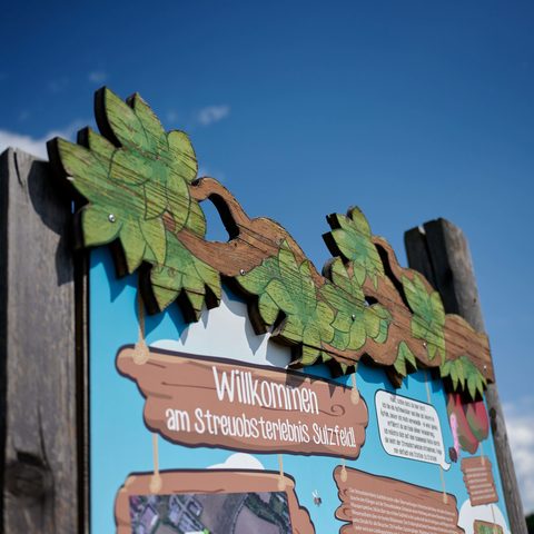 Landwirtschaft Sulzfeld © Kraichgau-Stromberg Tourismus e.V.-Christian Ernst.Quelle: Kraichgau-Stromberg Tourismus e. V.
