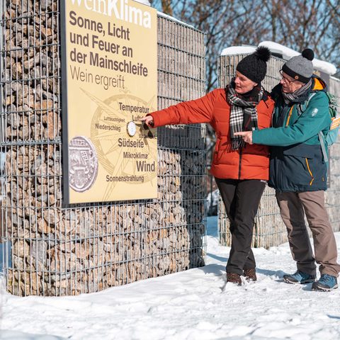 Volkach, "terroir f" im Winter
Volkach  © Foto Meshko Quelle: Tourismusverband Franken e.V.