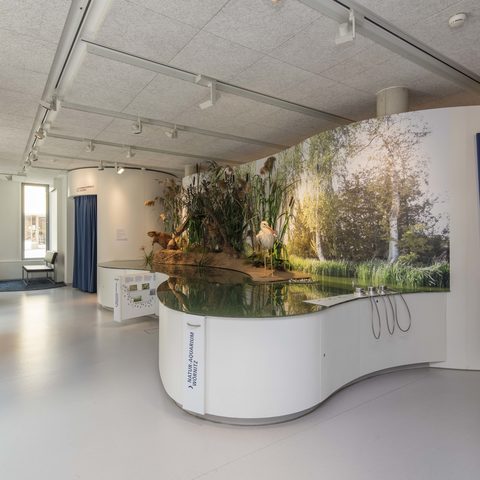 Museum FLUVIUS© Touristikservice Wassertrüdingen