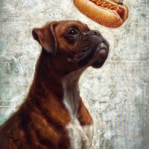 25. Perro no come perro.