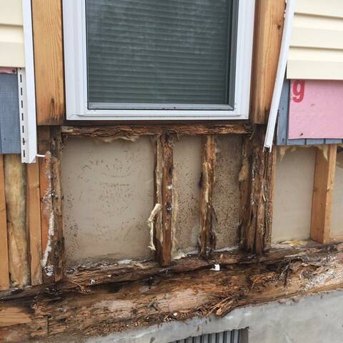 No insulation around windows!