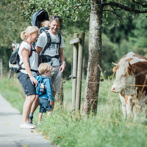 Mit Genuss in den Frühling in Prien am Chiemsee
© Prien Marketing GmbH