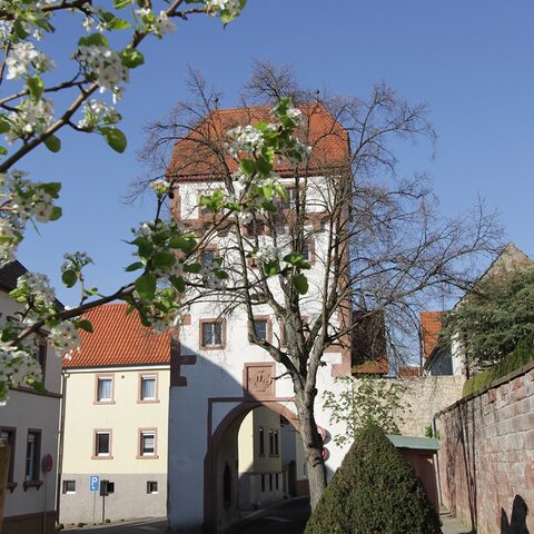 Torhaus im Frühling
Quelle: Markt Neubrunn/Frau Lutz
