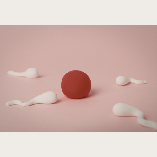 Kinderwunschzentrum Oldenburg