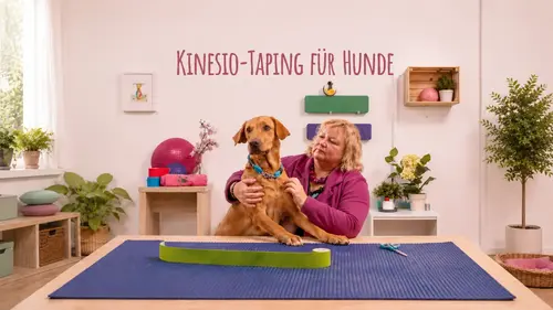 Kinesiotaping für Hunde