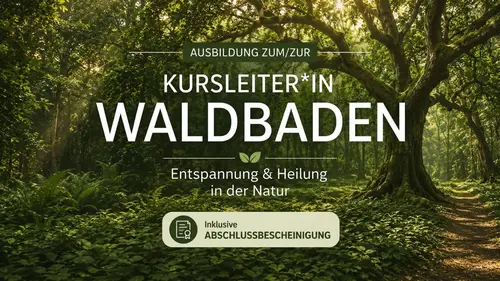 Online-Ausbildung Waldbaden