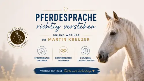 Pferdesprache richtig deuten