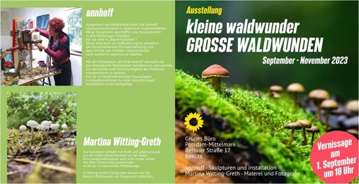Ausstellung kleine Waldwunder - große Waldwunden von Martina Witting-Greth und annhoff im Wahlkreisbüro der Grünen in Beelitz Sept-Nov 2023