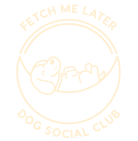 Fetch Me Later Pet Boarding