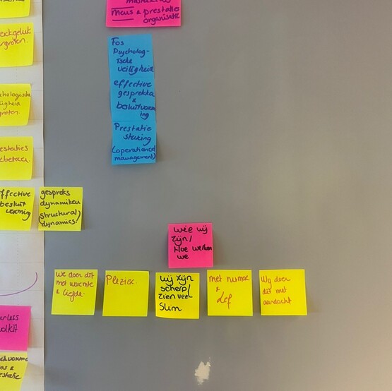 Meet psychologische veiligheid met de Fearless Organization Scan
