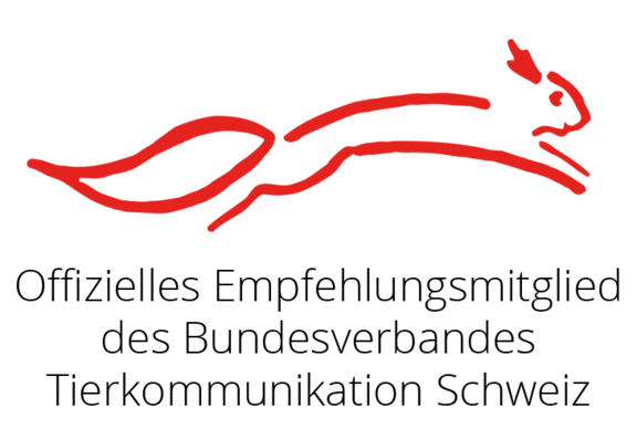 Rotes Eichhörnchen mit Schriftzug BVTKS