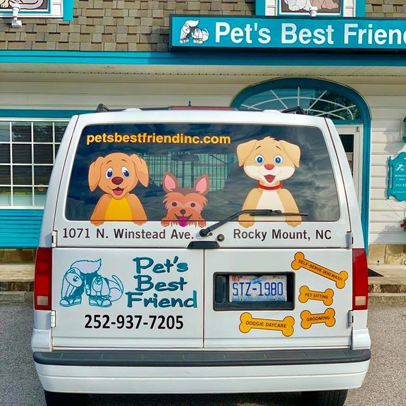 Pet Taxi Pet's Best Friend