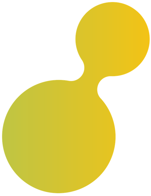 Ansprechpartner und Koordination des Research Hub Neuroethics