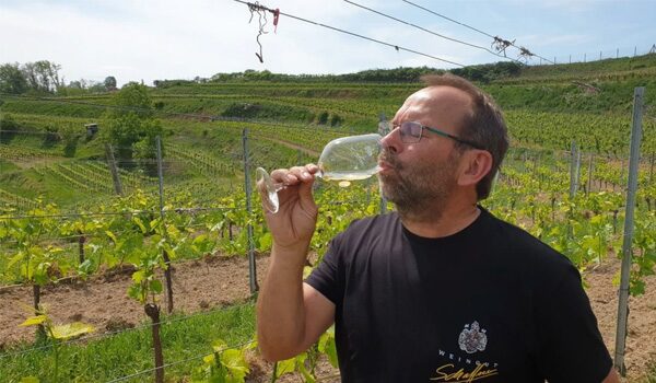 Bio-& Wellnesshotel Alpenblick | Lieferanten Bio Weingut Schaffner