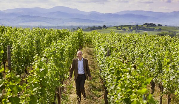 Bio-& Wellnesshotel Alpenblick | Lieferant Bioland Weingut Landmann