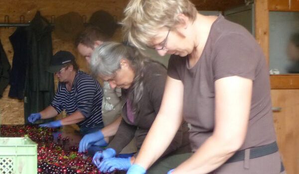 Bio-& Wellnesshotel Alpenblick | Lieferanten Apfelsaft