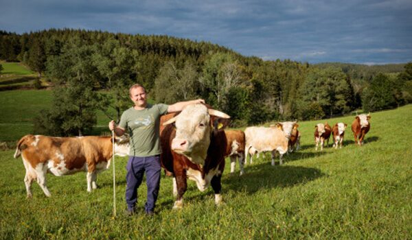 Bio-& Wellnesshotel Alpenblick | Lieferanten Kartoffeln