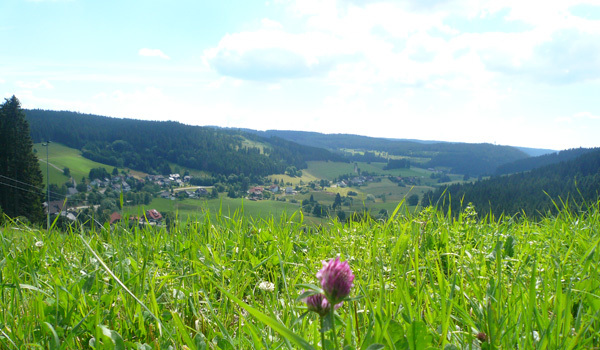 Bio-& Wellnesshotel Alpenblick | Sommer  im Schwarzwald Höchenschwand