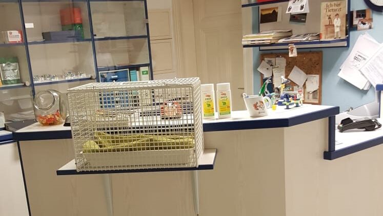 Katzenfreundliche Theke