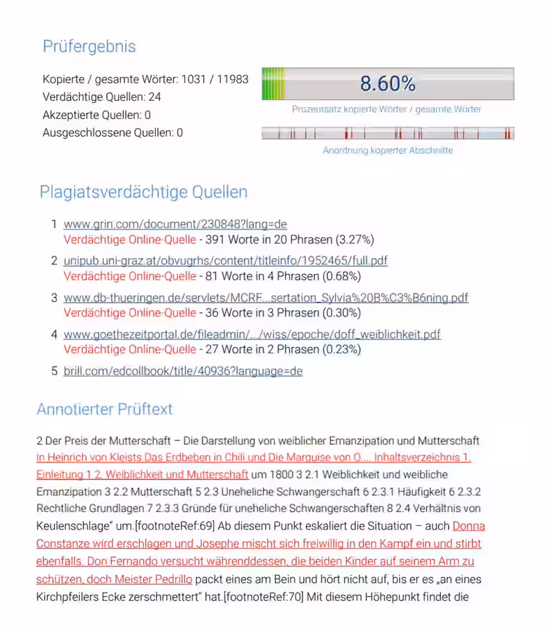 Plagiat-Scanner Ergebnis – Beispielbericht von korrektur.de