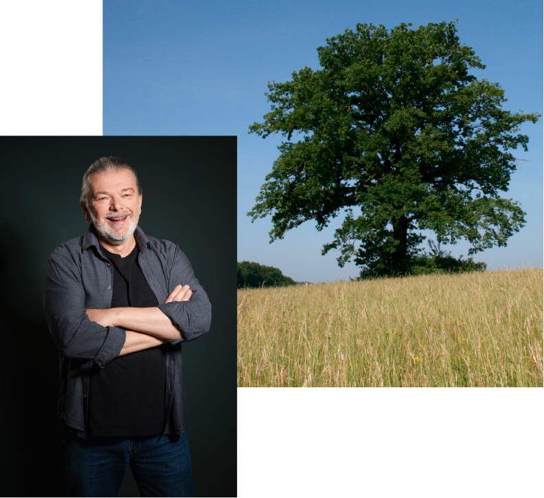 Helmut Rochholz |  Psychotherapie und Paartherapie in Nürnberg.