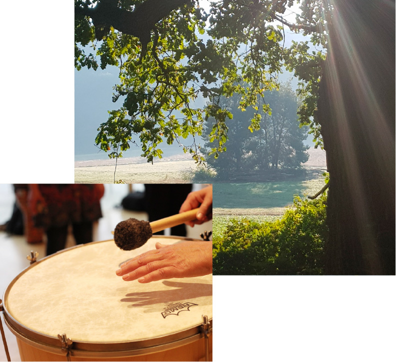 Helmut Rochholz |  Psychotherapie und Paartherapie in Nürnberg.