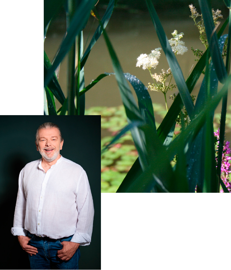 Helmut Rochholz |  Psychotherapie und Paartherapie in Nürnberg.