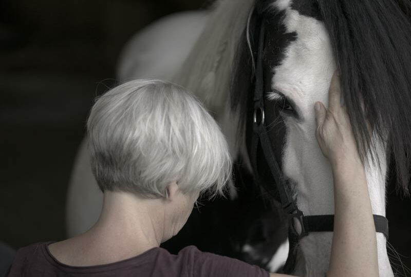 Porträt eines Golden Retrievers