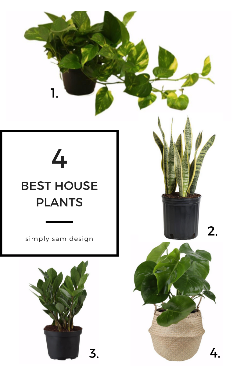 ceramic plant pots indoor Azura Indoor Plant Pot