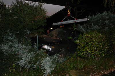 PKW in einem Gebüsch